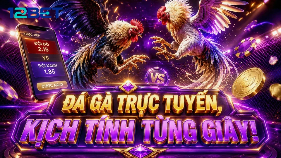 Thanh đếm ngược góc phải: Kinh nghiệm chốt giới hạn phiên đá gà 12BET