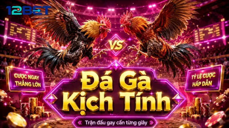 Ghi Chép Lịch Sử Hay Xem Nhịp Trận Đấu: Hai Lối Đọc Đá Gà 12BET