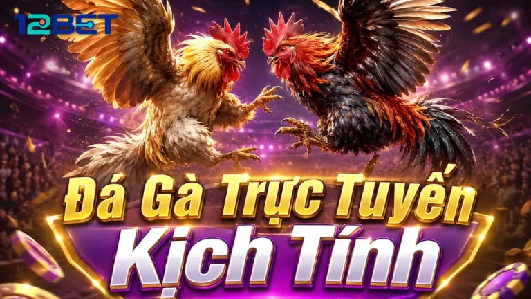 12BETVNLOL 04 Kinh Nghiệm Khung Phân Tích — Phân Biệt Dữ Kiện Thực Với Hiệu