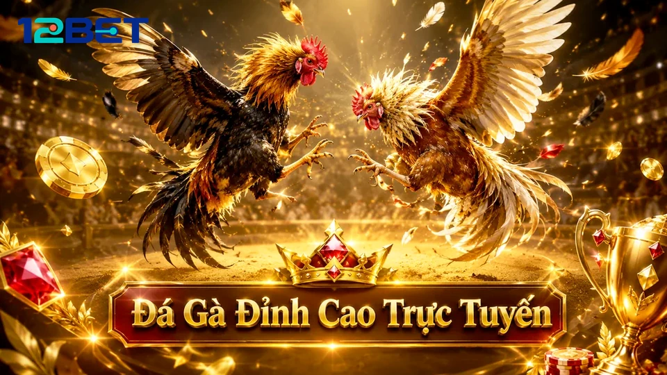 Tưởng luồng phát liên tục: Sai lầm khi quản lý phiên đá gà 12BET