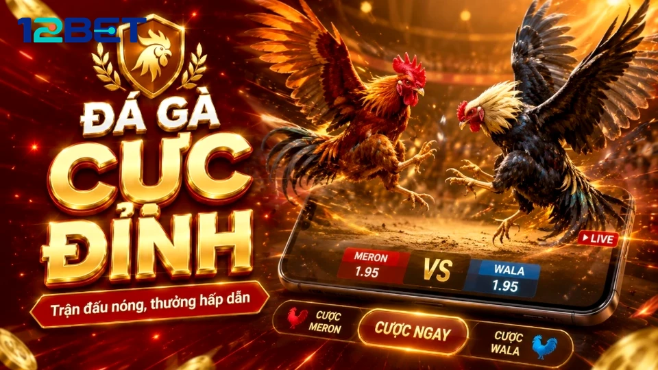 6 Thói Quen Nhỏ Khi Xem Đá Gà Trực Tuyến Dễ Làm Lệch Kế Hoạch 12BET